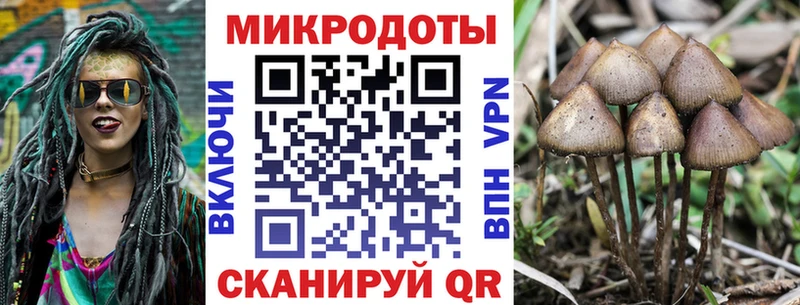 Псилоцибиновые грибы прущие грибы  Купить закладки  Давлеканово 